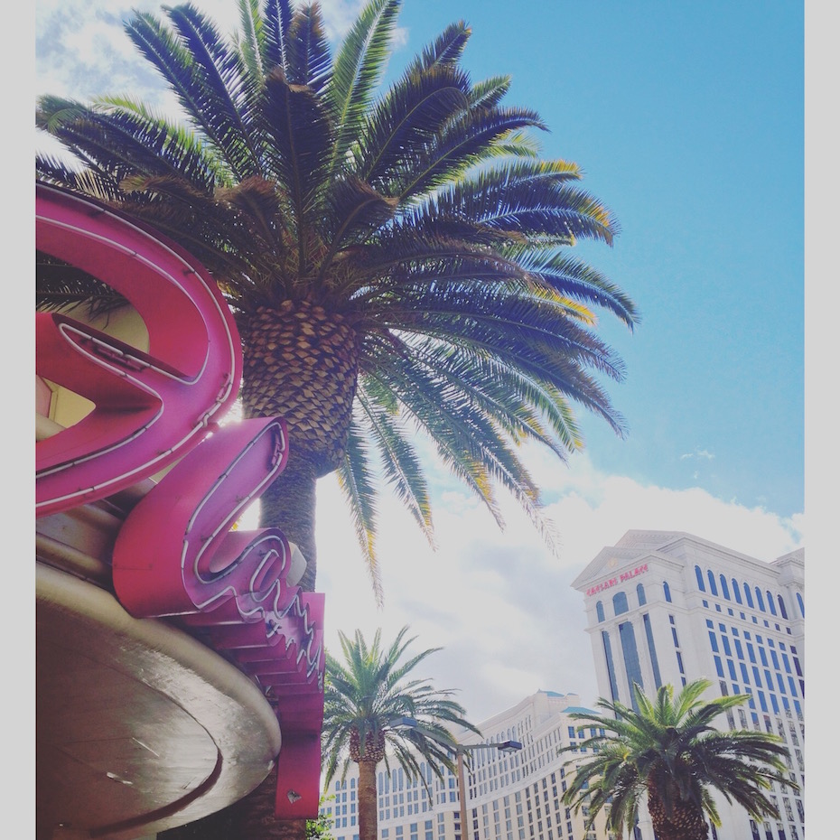 Snaps of Las Vegas